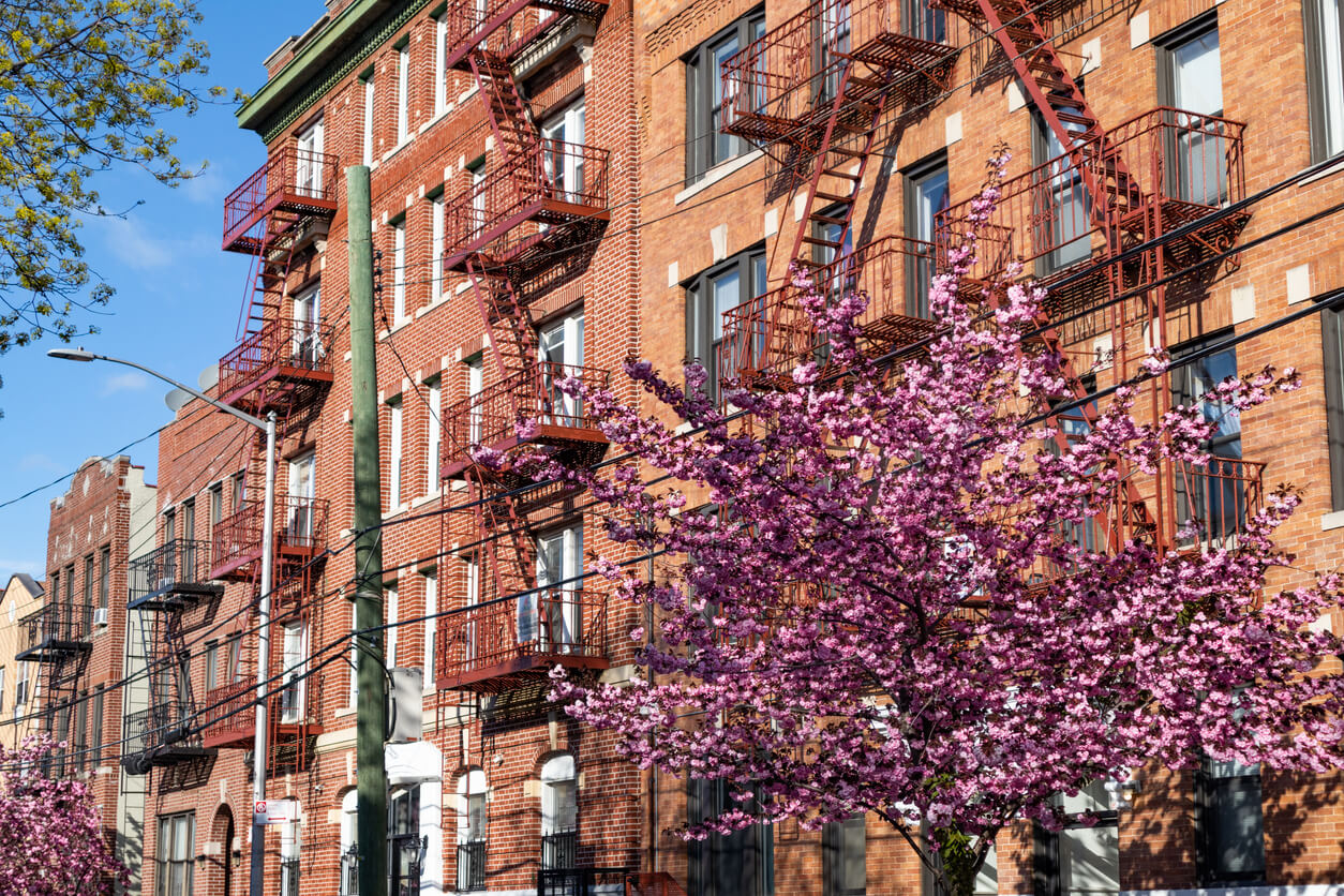 A beautiful neighborhood street with pink flowering cherry trees and old brick residential buildings during spring in Astoria Queens New York