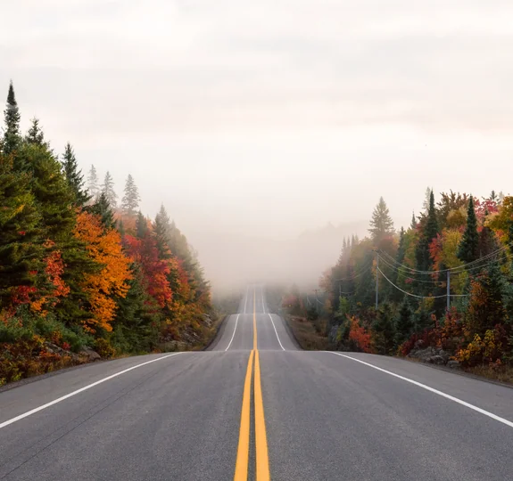 A road that leads into a fog surrounded with fall foliage